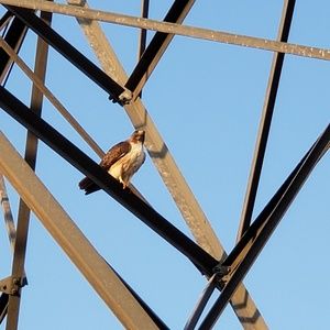 Meet your Posher, Esteban